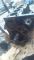 Блок цилиндров Opel Zafira А 2.2 DTI, Y22DTR, Опель Зафира А 2.2 дизель