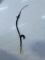 Щуп масляный, направляющая Renault Clio 2, 1.5dci, Рено Клио 2, 8200253926