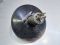 Вакуумный усилитель тормозов Рено Клио 2, Renault Clio 2, 7700416199C