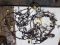 Проводка салона Mitsubishi Colt 6 (Z30), 1.1 бензин, Митсубиси Кольт