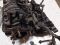 Коллектор впускной Chevrolet Aveo, Lacetti, Daewoo Nubira 1.4, 1.6, 96452343