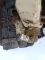 КПП, коробка передач Ford Focus 1, 1.8 TDDI, Форд Фокус 1, XS4R7201cd, XS4R7F096