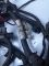 Проводка Ford Focus 1, 1.8 TDDI, 96AG-14A067-CE 98AG-14A076-ag 1M5T-14K733