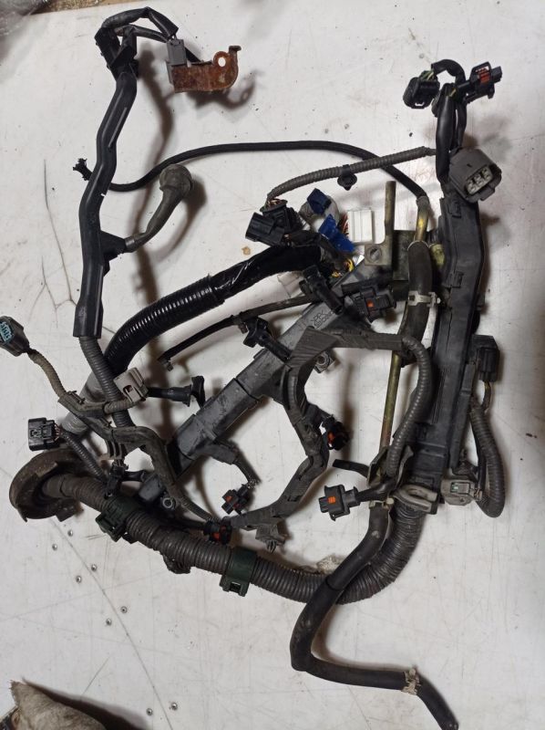 Жгут проводов двигателя Honda Accord MK7, 2.2 CTDi, Хонда Аккорд, 69234464