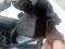 Насос подкачки клапан абсорбера Mazda 3 BK 2004 - 2009 г.в., хэтчбек, 0261222020