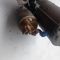Стартер 1.6 HDI Citroen C3 2002 - 2009 р.в., 9646694080