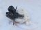 Замок крышки багажника Toyota Yaris II 05-11, 693500d100